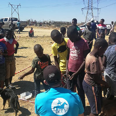 The Dogs Trust - Diepsloot Township Aid8