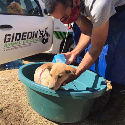 The Dogs Trust - Diepsloot Township Aid1